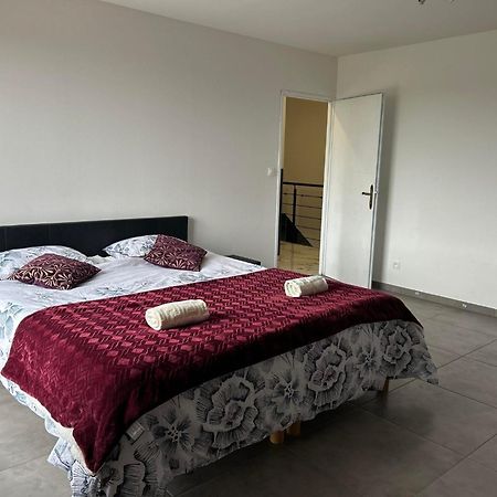 Magnifique Villa Avec Piscine Beaujolais Gleizé Екстериор снимка